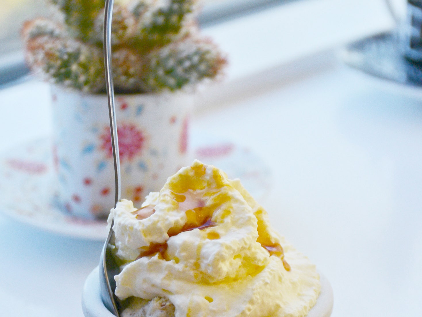 Exploring Iceland Food Culture: 12 Dishes You Have to Try