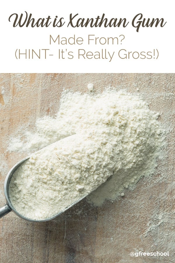 What is Xanthan Gum Made From? (HINT- It’s really gross!)
