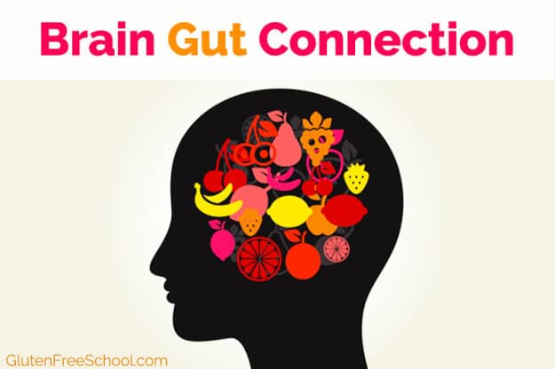 brain gut connection