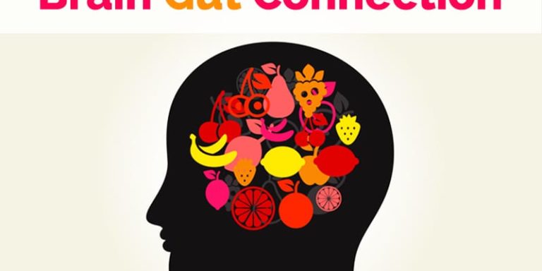 brain gut connection