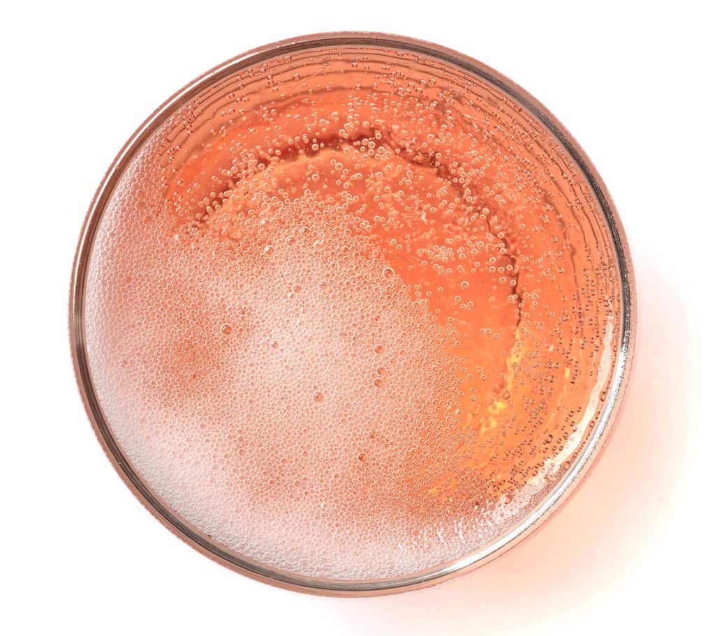 glass of bubbly liquid isolated on white background, top view