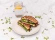 grilled vegetarian sandwich on white plate and marble table with glass of water and lemon slice