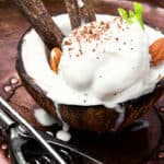 Coconut ice cream with almonds