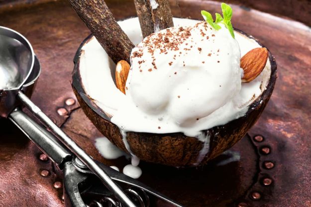 Coconut ice cream with almonds