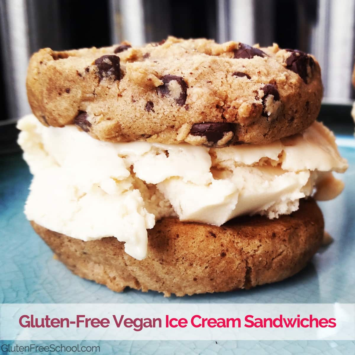 gluten free vegan ice cream sandwiches