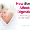 how stress affects digestion