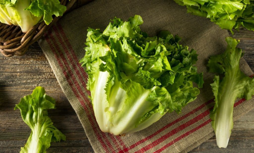 italian wedding soup