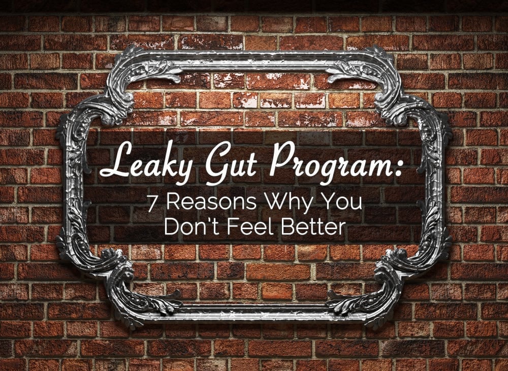 leaky gut program