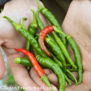 gluten free gardening