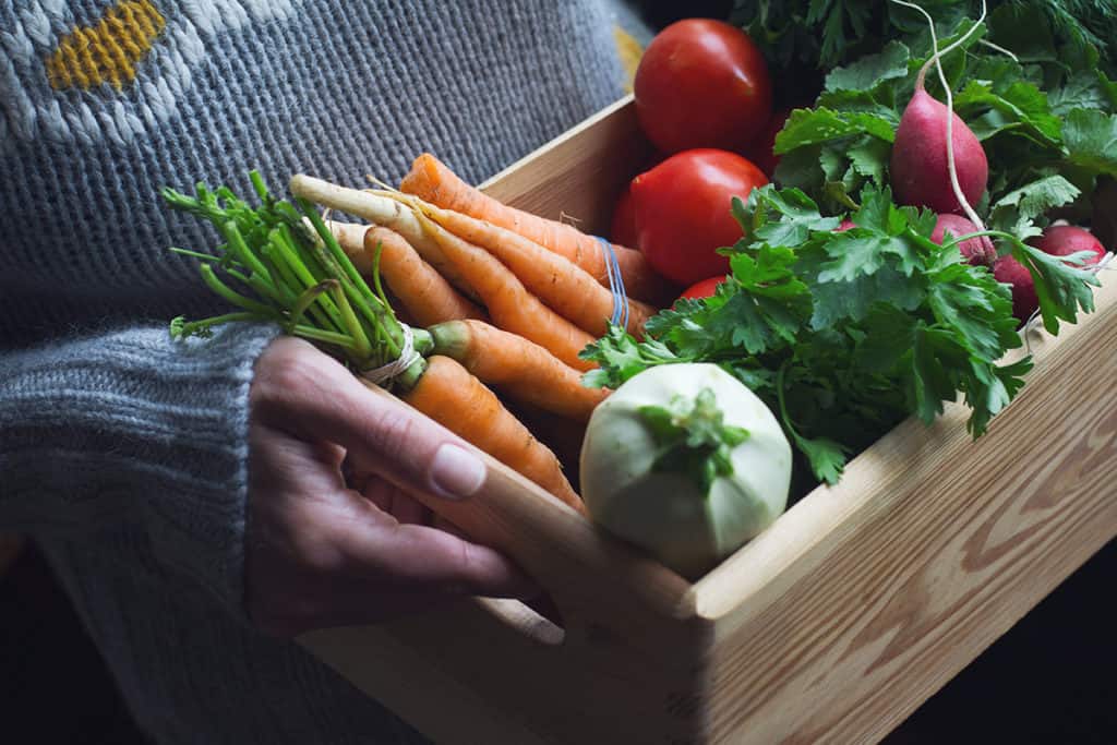 Fresh Vegetables from Garden