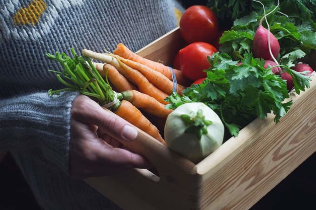 Fresh Vegetables from Garden