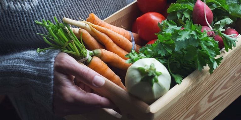 Fresh Vegetables from Garden