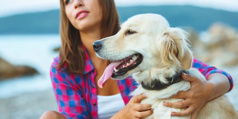 Woman with a dog on a walk on the beach