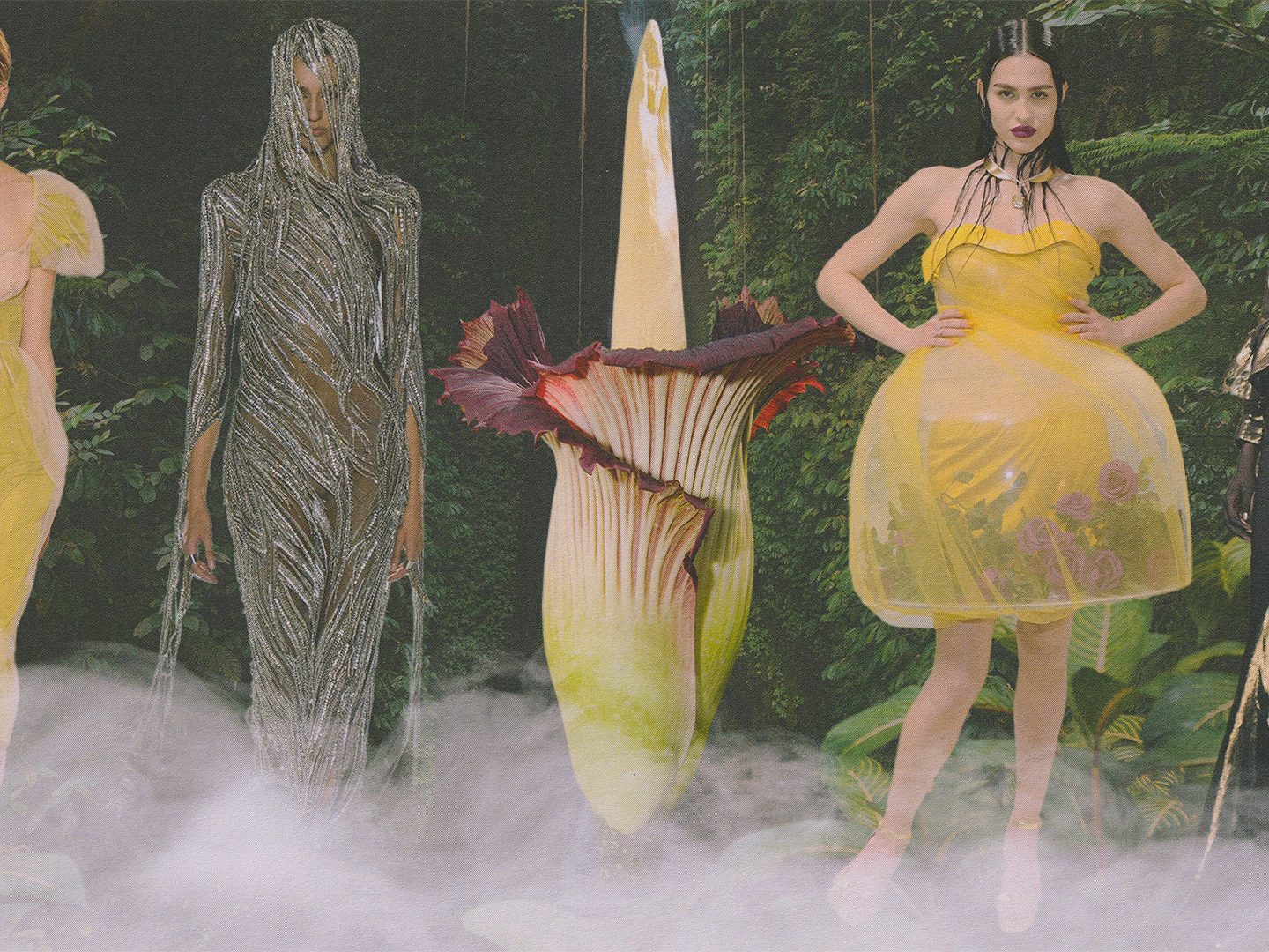 How Putricia the Blooming Corpse Flower&-the Internet’s Stinkiest It Girl&-Should Dress for Her Coming Out