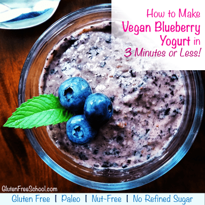 vegan blueberry yogurt